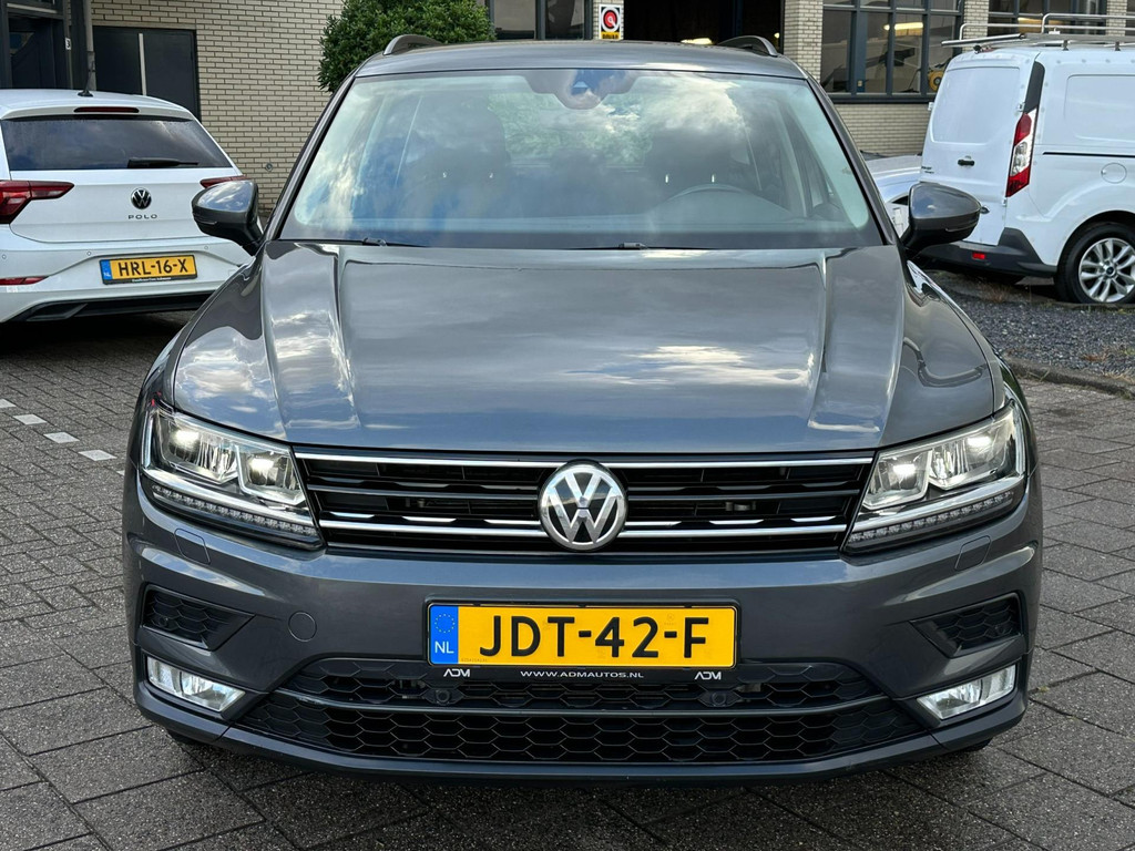 47382040-11.jpg